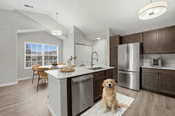 Pet friendly community